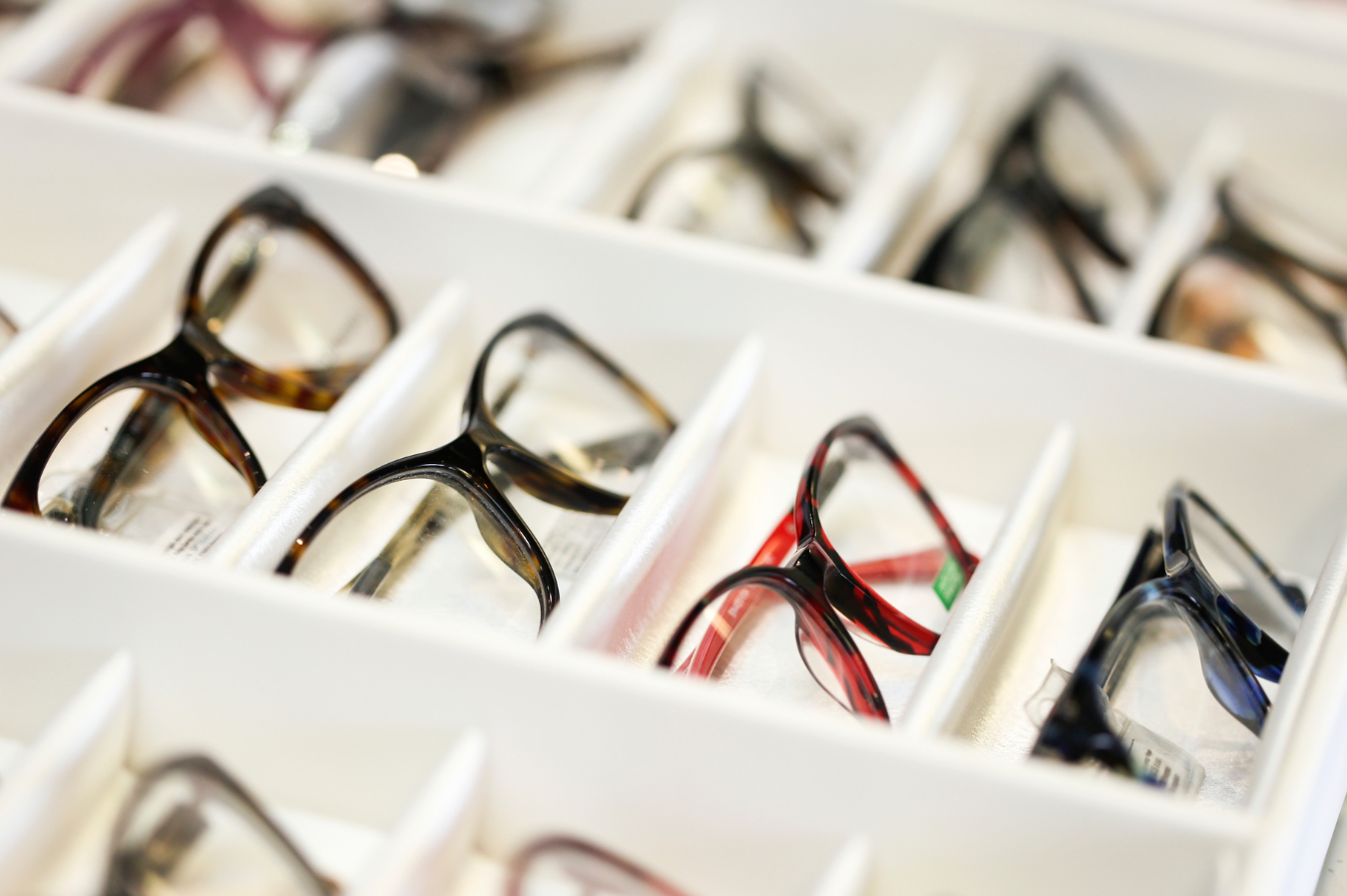 Varias gafas y monturas elegantes presentadas en una bandeja expositora blanca en la óptica.