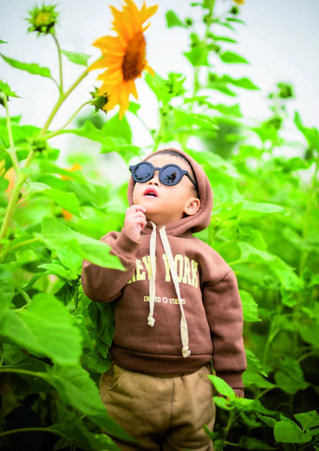 Toddler with round black sunglasses and a brown hoodie looks up at a yellow sunflower in a field.